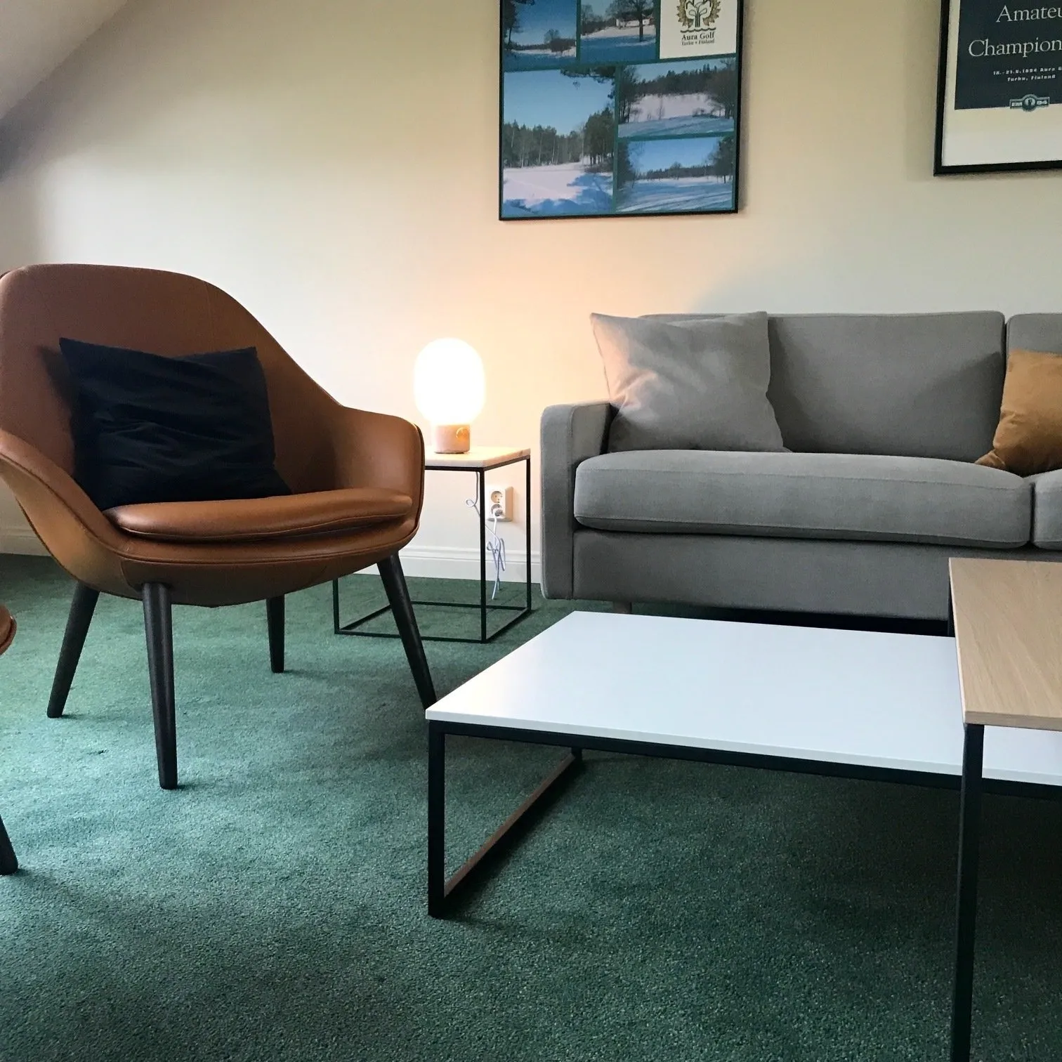 Aura Golf — Turku (8)