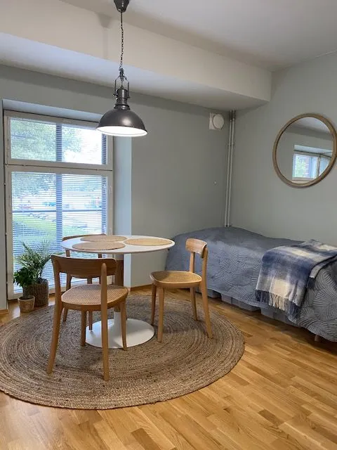 Opiskelijan yksiö — Turku (1)