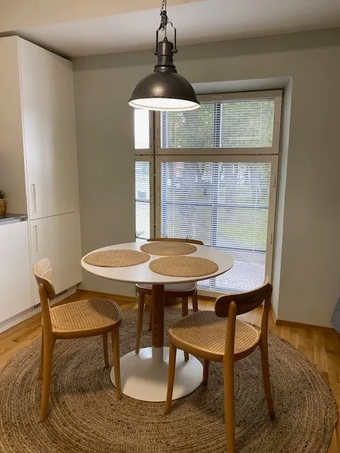 Opiskelijan yksiö — Turku (4)