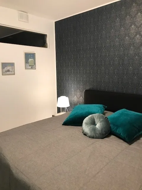 Rivitalokoti — Turku (4)